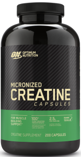 Optimum Nutrition Micronized Creatine