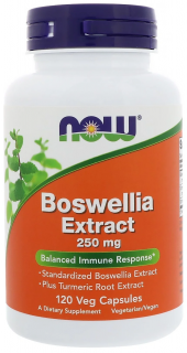 Now Boswellia Extract 250 mg 120 caps