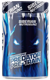 Siberian Nutrogunz PRE-TRAIN NOOTROPIC 225 г Киви без НДС (превью)