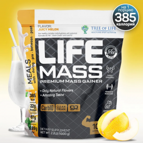 Tree of Life Life Mass Premium Mass Gainer 1000 г Спелая дыня без НДС (превью)