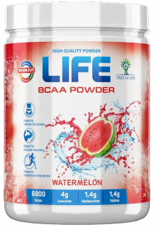 Tree of Life LIFE BCAA+Glutamine 400 г watermelon без НДС (превью)