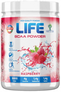 Tree of Life LIFE BCAA+Glutamine 400 г raspberry без НДС (превью)